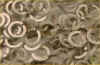 WSH0146.JPG (15306 bytes)